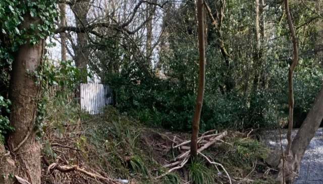 One Redditor was upset to discover that a nearby forest was heavily littered, leaving it looking like a dumpster.