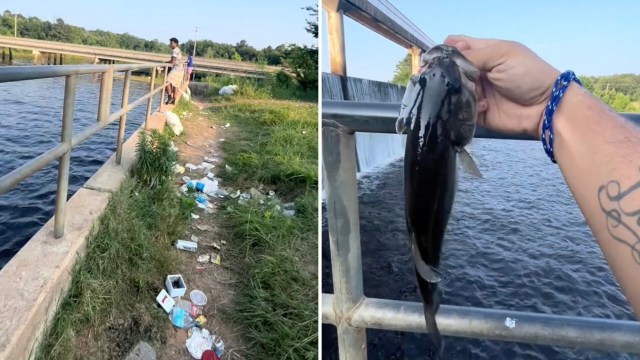 "And people wonder why."