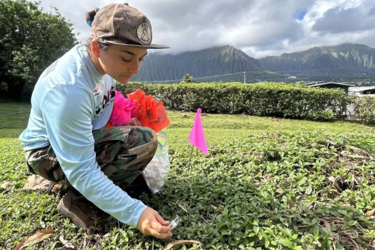 "We need to aggressively detect and treat [them]."