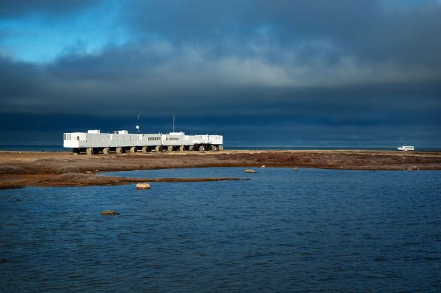 "Will affect marine ecosystems as we know it."