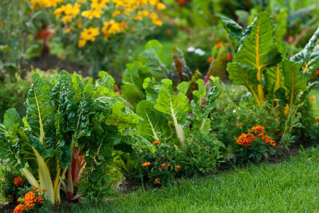 "I may need to get some."