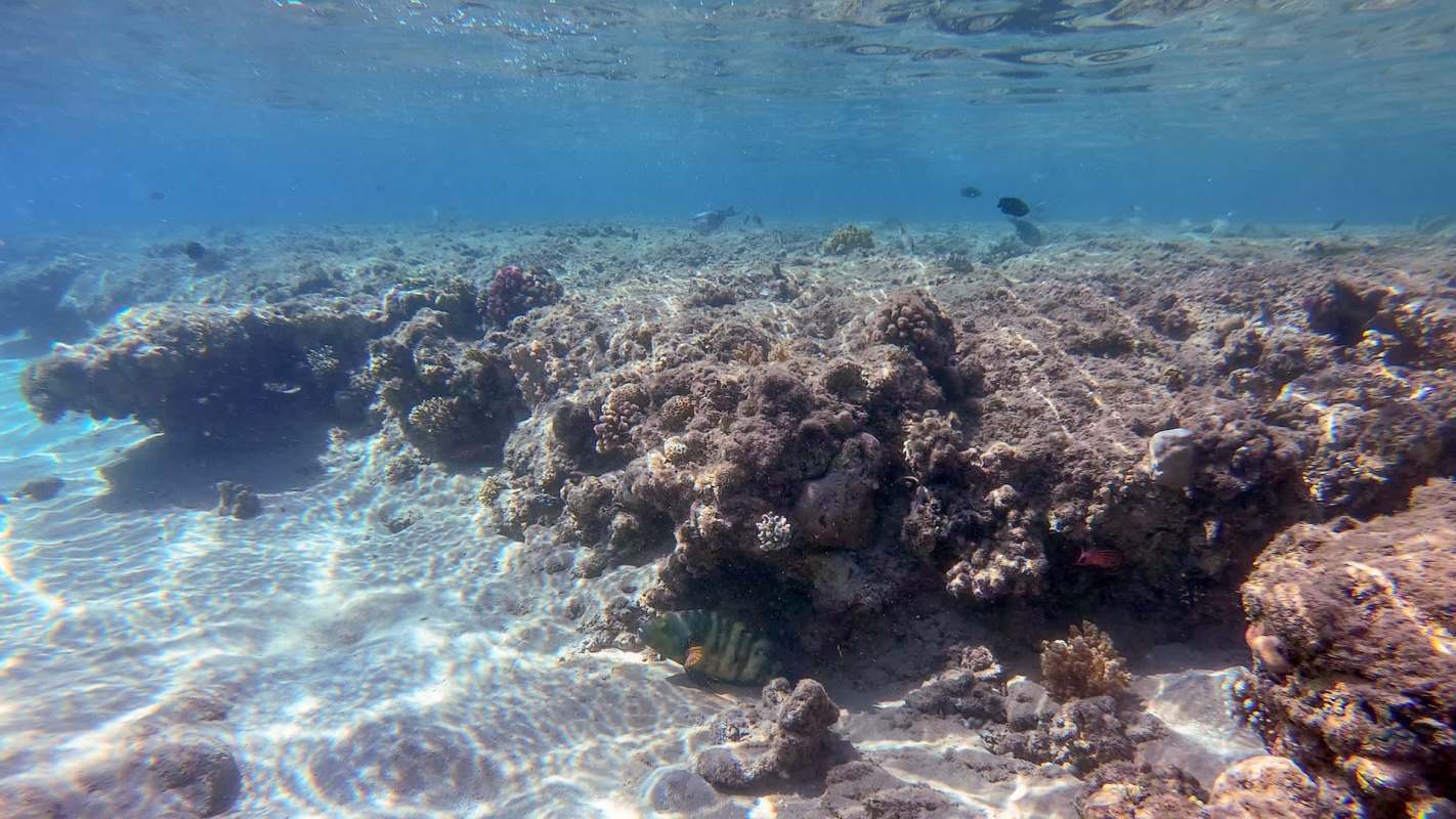 "We need better ways to detect which species are on the move."