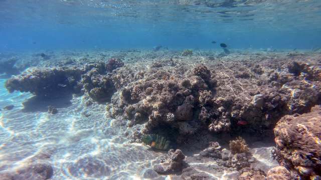 "We need better ways to detect which species are on the move."