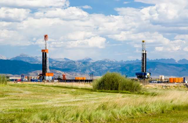 The researchers recommended that future work should focus on the ecological and agricultural implications.