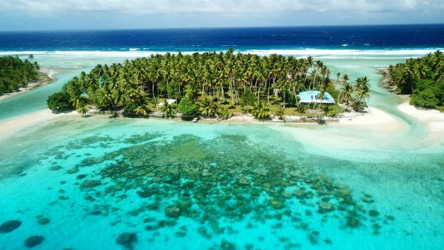 The successful removal of an invasive species of rat saw nature spring back to life on two islands in the Marshall Islands.