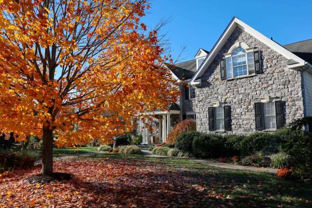 One Redditor described how their new homeowner was shocked to find that a 200-year-old tree had been cut down without his or her consent.