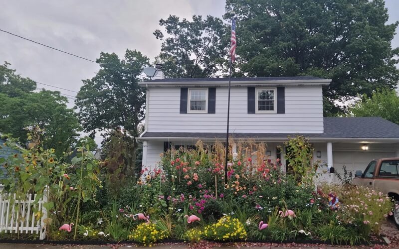 One Redditor shared how their native lawn conversion turned their ugly suburban lawn into an epic pollinator's paradise.