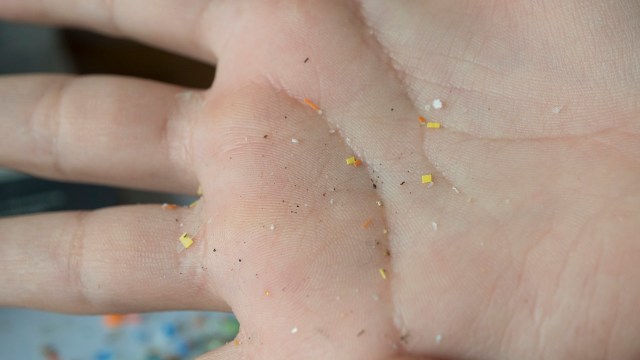 A recent review of over 200 scientific papers concluded that microplastics have become "a significant global problem" with "substantial negative impacts on human health."