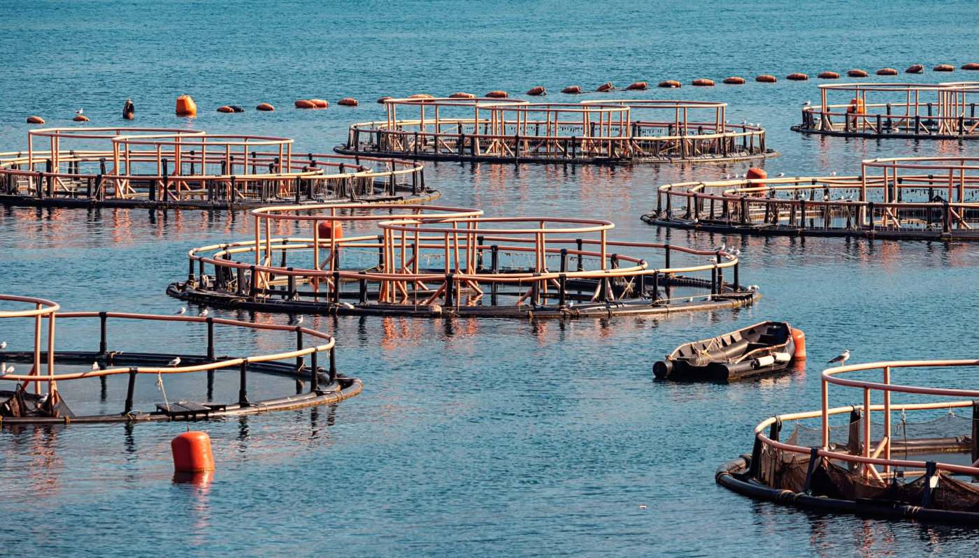 "The project has tested and developed important tools."