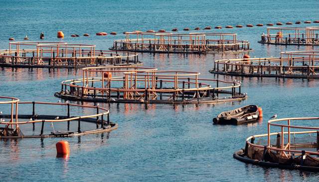 "The project has tested and developed important tools."