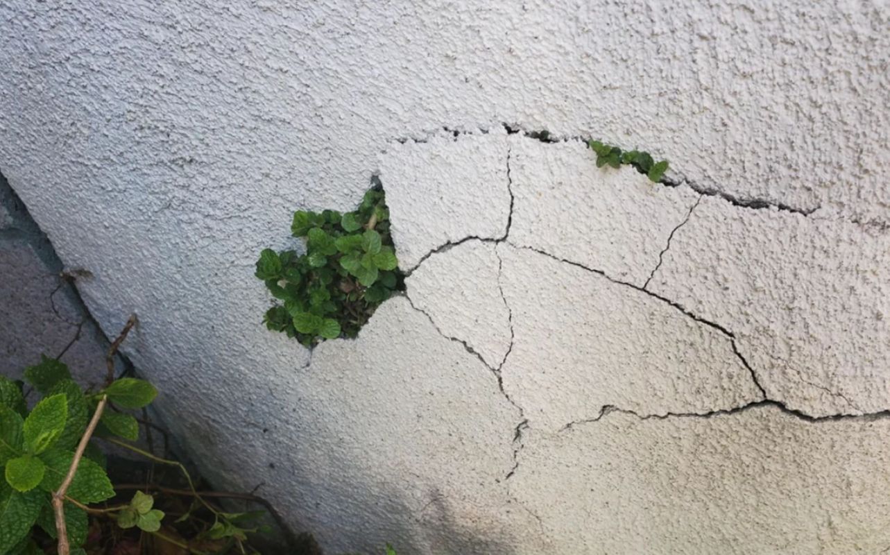 "It's a friend for life … for the next ten+ generations cuz it doesn't know how to say goodbye."