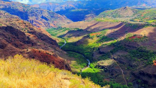 Residents are urged to report sightings.