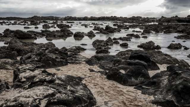 "The choices we make on the water affect more than just fish."