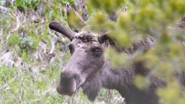 "I'm nervous just watching."
