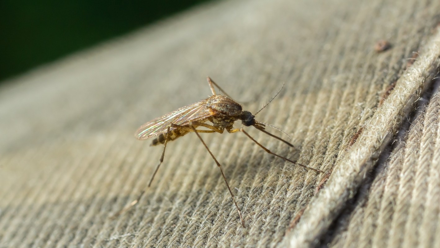 West Nile virus cases have been on the rise in the U.S., but a new survey suggests that most American adults aren't worried about it.