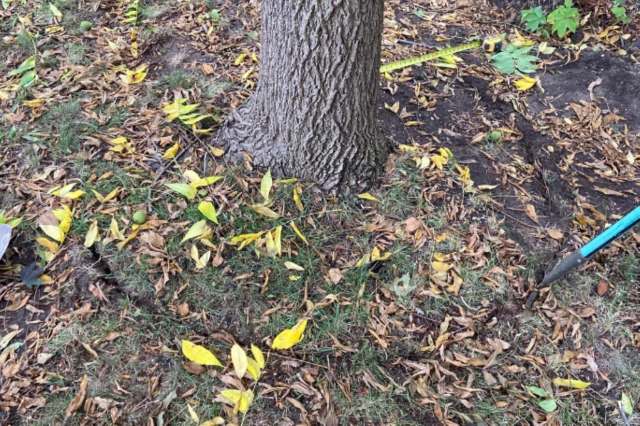 Commenters shared their disapproval.