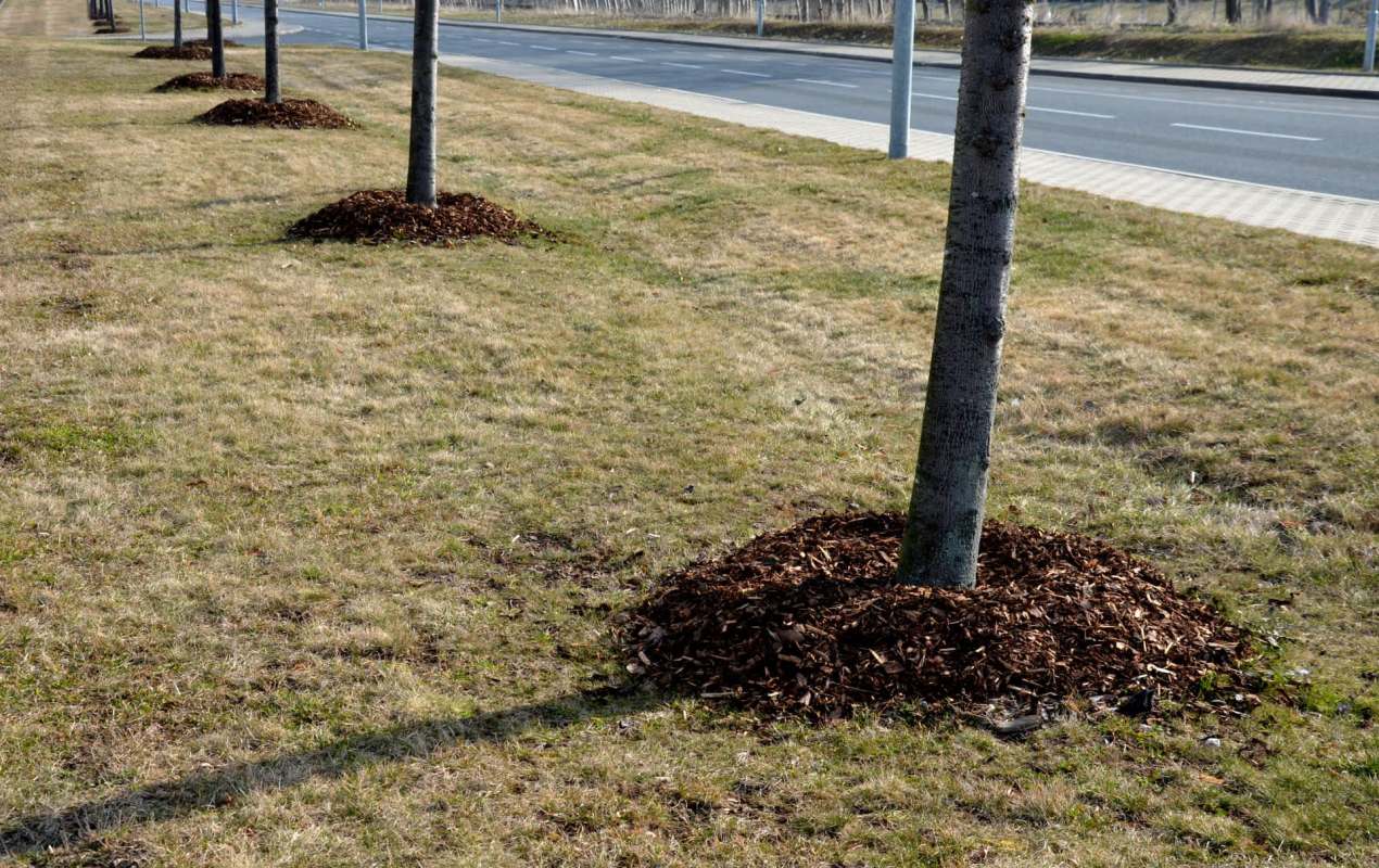 "I want to make sure I can do my best at fixing this issue."