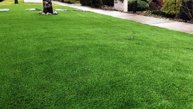 An Instagram video showing mulch volcanoes is highlighting the common mistake that could be costing you a fortune and slowly killing your trees.