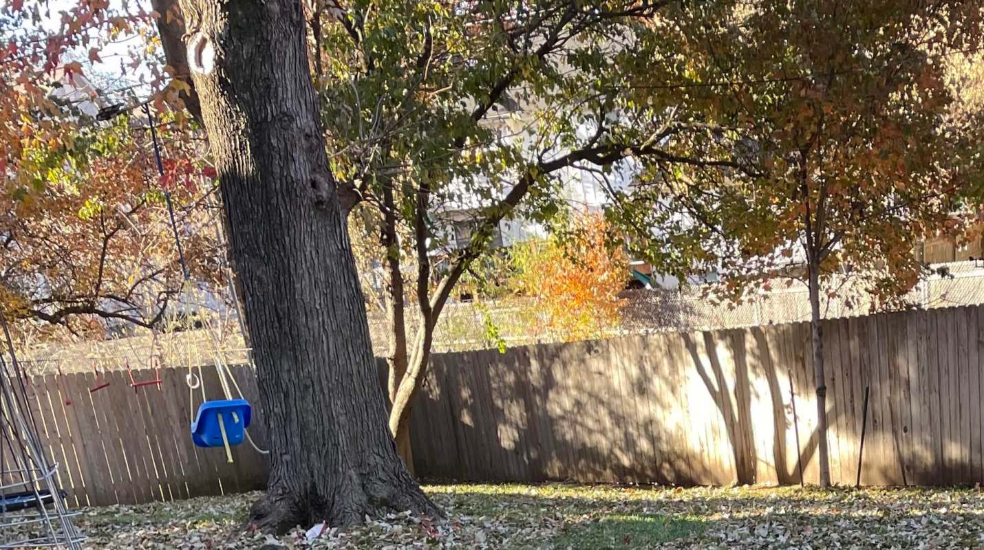 "It looks terrific and is a hell of a lot less work!"