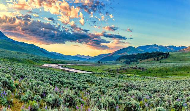 Wyoming officials just gave the green light to a shooting complex on crucial mule deer habitat, enraging locals.