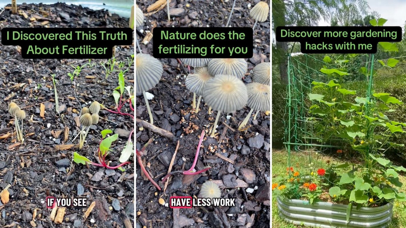 "This is the perfect combination."