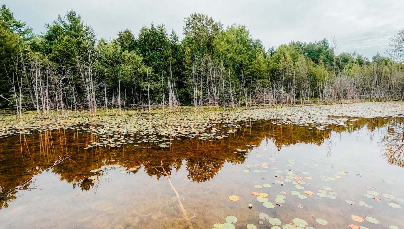 "It's been present for over 100 years."