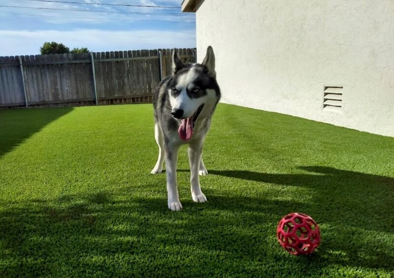 "Had the company that did ours fully refund us."