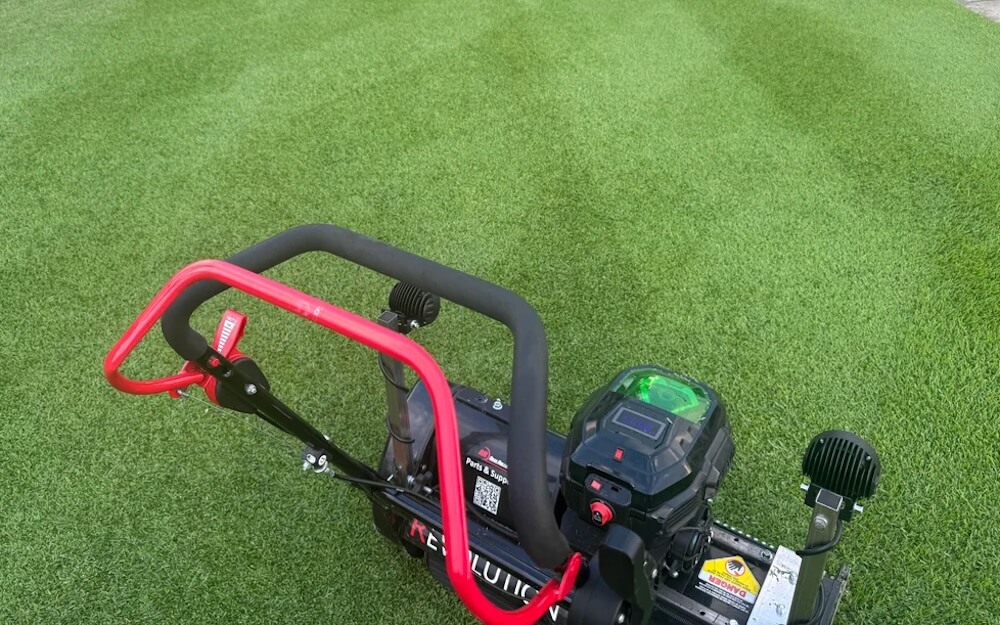 "Absolutely gorgeous!"