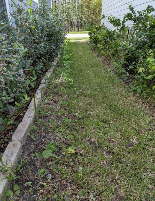 "Some people only learn when there is pain involved."