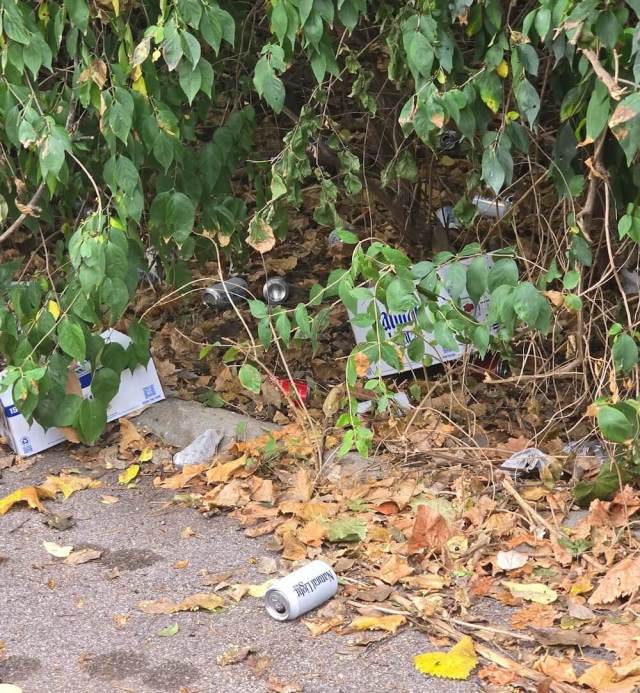 One Reddit user shared their problematic neighbor's behavior, highlighting how people can disregard others and the planet.