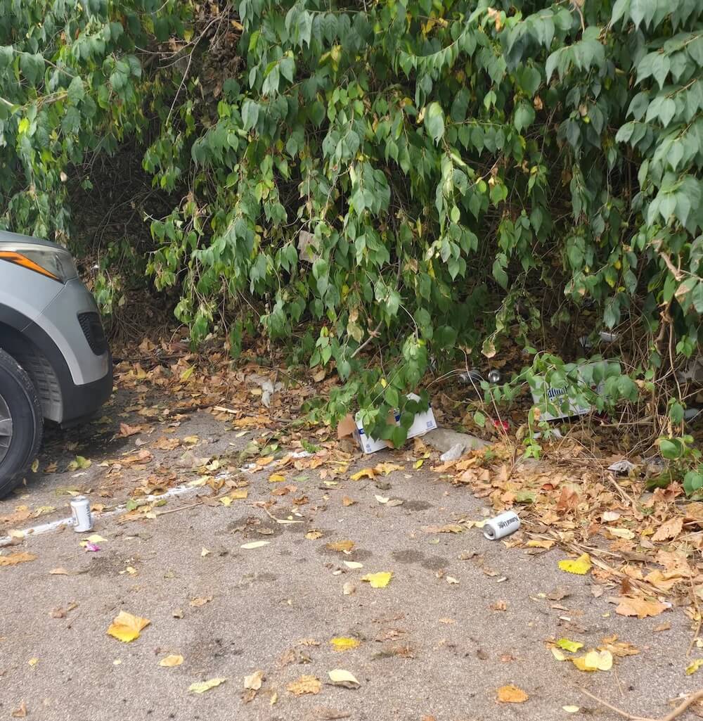 One Reddit user shared their problematic neighbor's behavior, highlighting how people can disregard others and the planet.