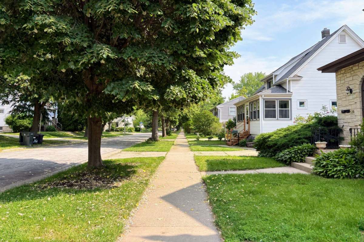 A flourishing garden of native plants has significant environmental benefits that make it a popular hobby among eco-friendly homeowners.