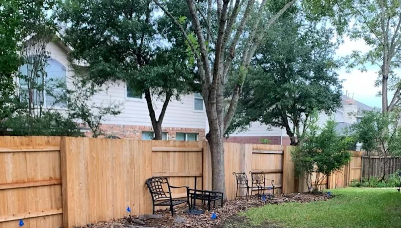 One Austin resident shared their experience rewilding their yard with native plants, offering inspiration for others.