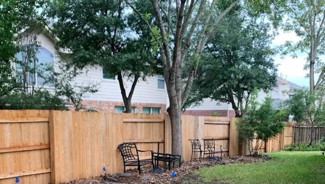 One Austin resident shared their experience rewilding their yard with native plants, offering inspiration for others.