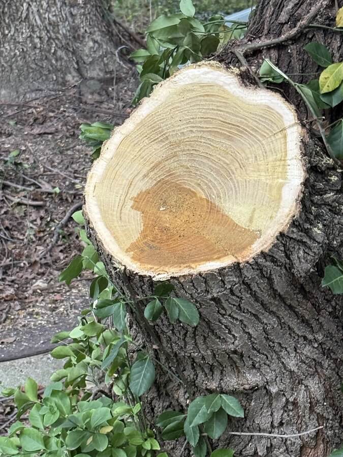 "Do you have a proper up-to-date survey?"