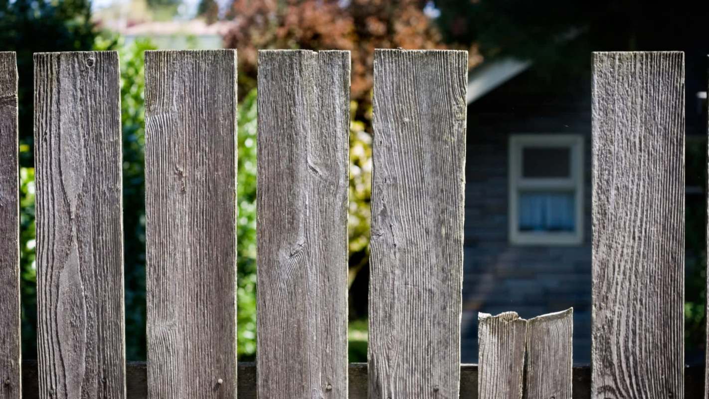 A Reddit user sought advice about their neighbor's land clearing problem. Redditors had plenty of advice to offer.