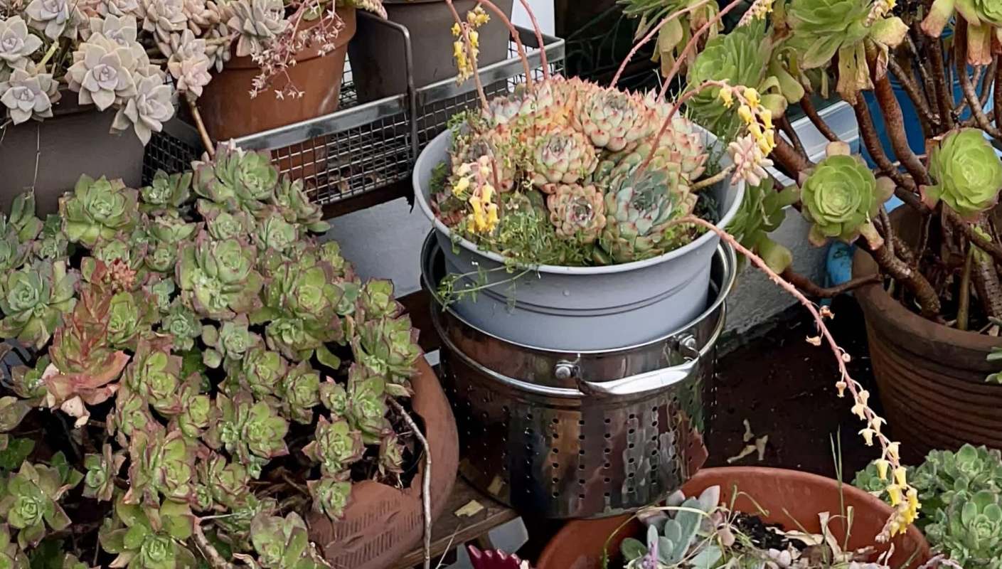 One Redditor sought advice after learning that their neighbor's construction project would cast shade on their garden.