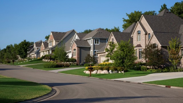 One gardener stopped to take a picture of a front lawn filled with native plants — the bane of many a homeowners' association.