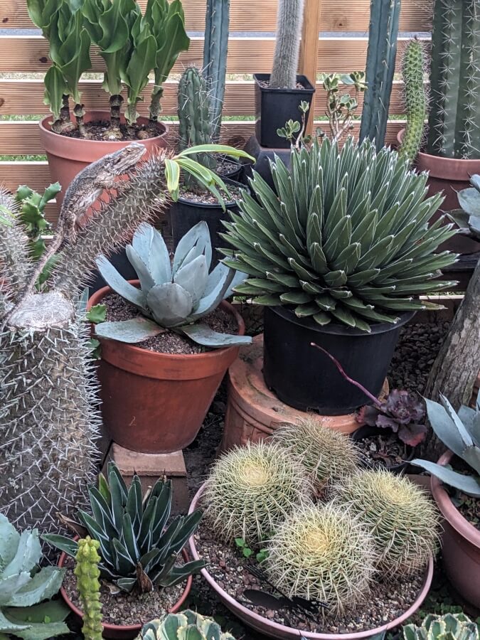 "I stared at this for 10 seconds."