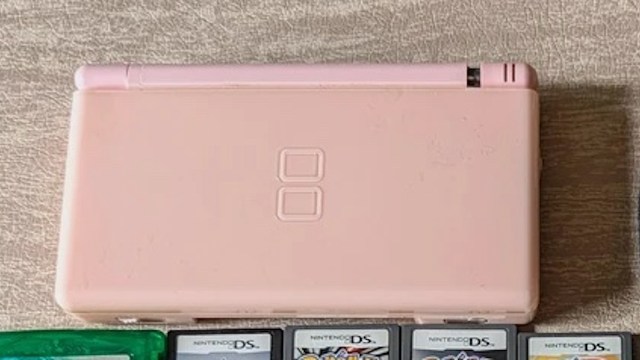 One lucky shopper found a Nintendo DS and games for an unbelievably low price at a thrift store.