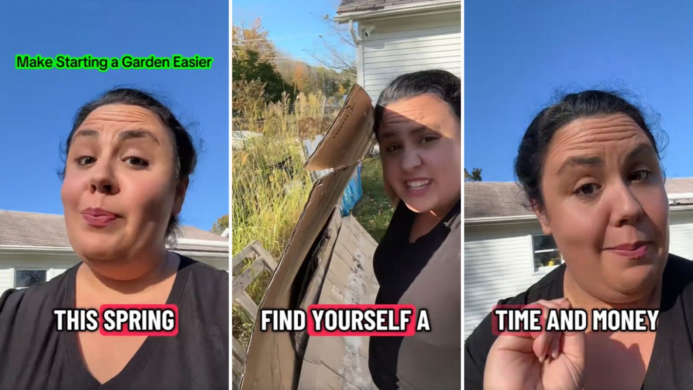 One gardener on TikTok had an incredibly easy and cost-effective hack to get you started with your garden using the no-dig method.