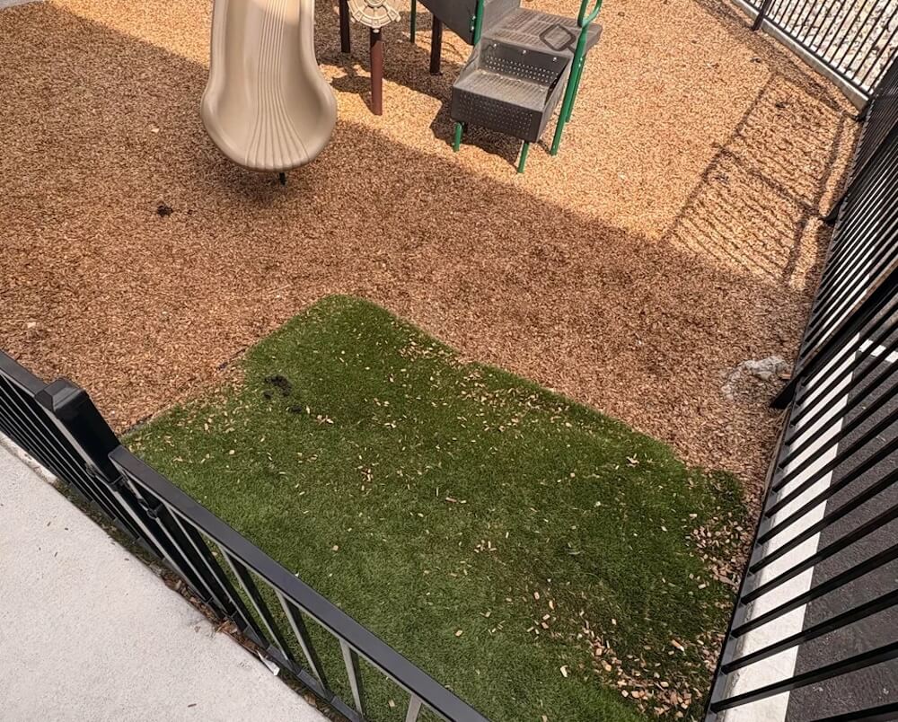 "I'd move. That's gross."