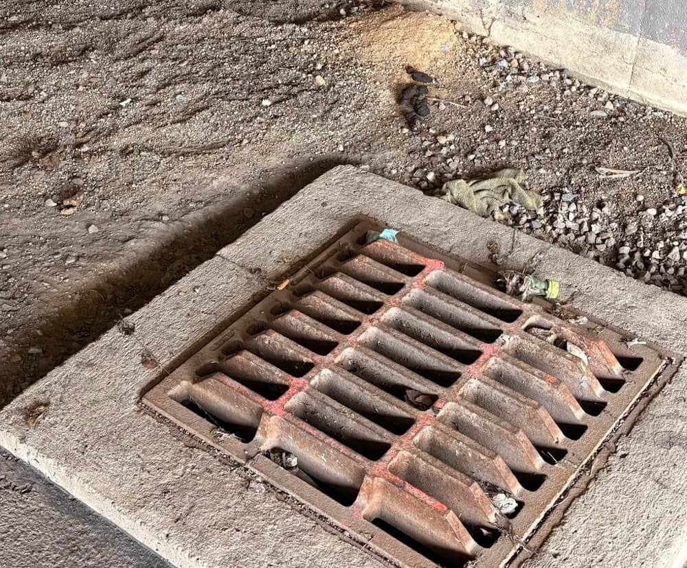 "I'd move. That's gross."