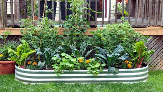 This viral TikTok shows how surprisingly easy and beneficial no-till gardening can be.