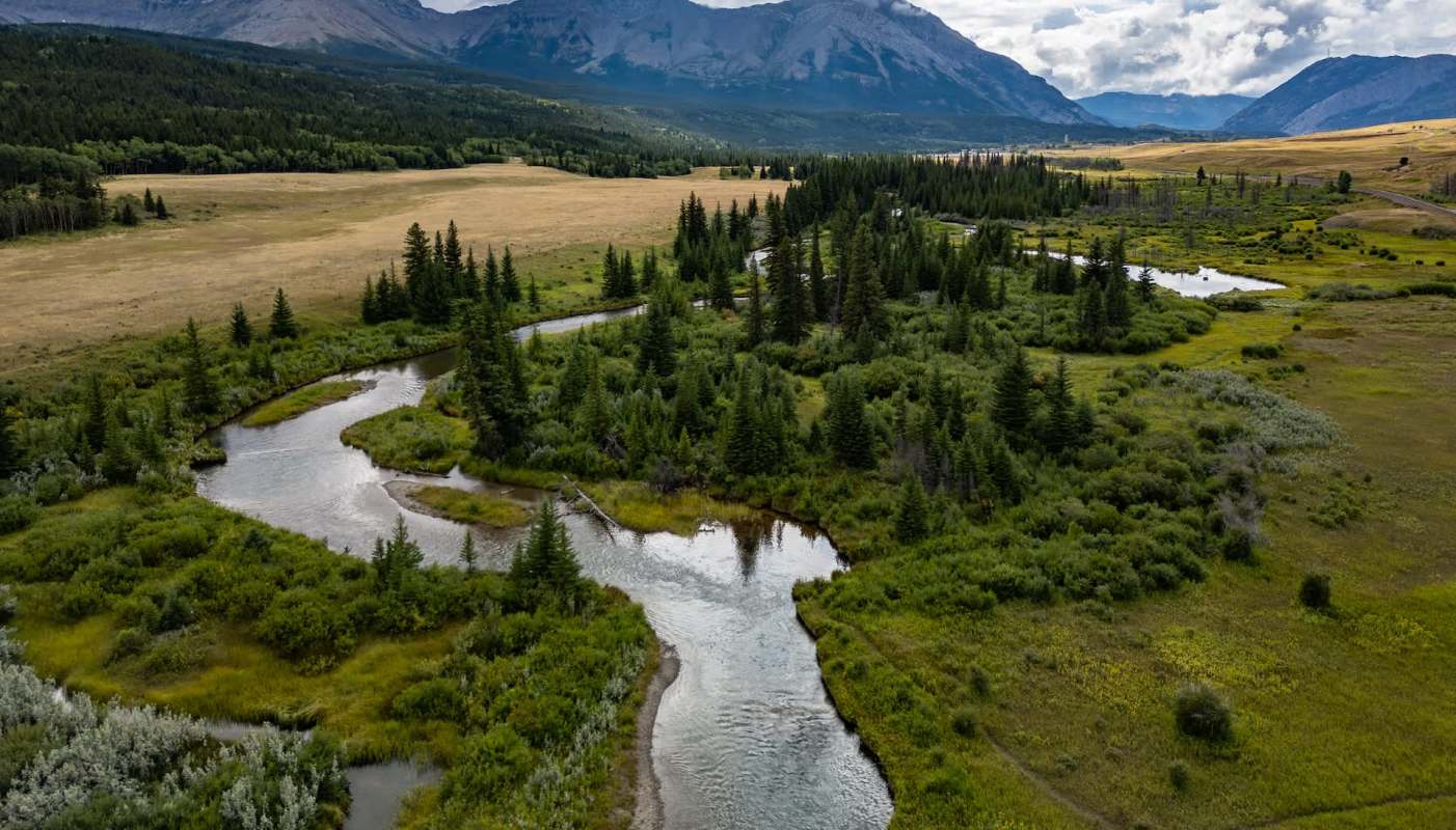 The government of Alberta, Canada, announced that reintroduction efforts to help northern leopard frog populations bounce back have been a success.
