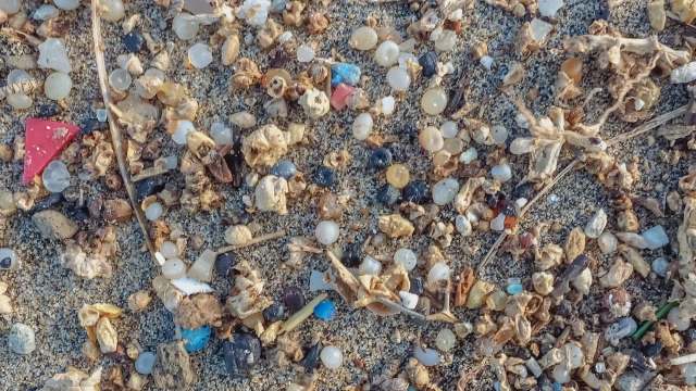 It resulted in a landmark settlement.