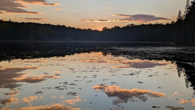 "That looks amazing!"