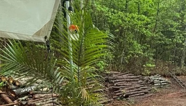 One couple shared their off-grid living setup, including a canvas tent, and talked about saving money to build a home.