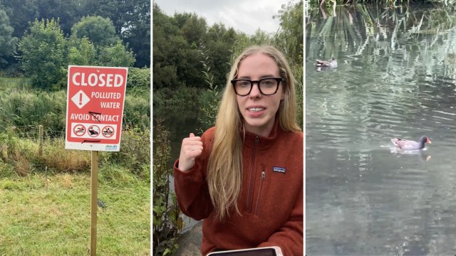 "Time and again, the guilty parties move on with no consequences."