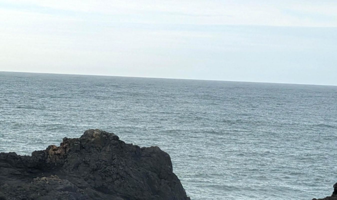 An image of a group of tourists off the coast of Oregon, behaving recklessly, ignited a lively discussion on Reddit.